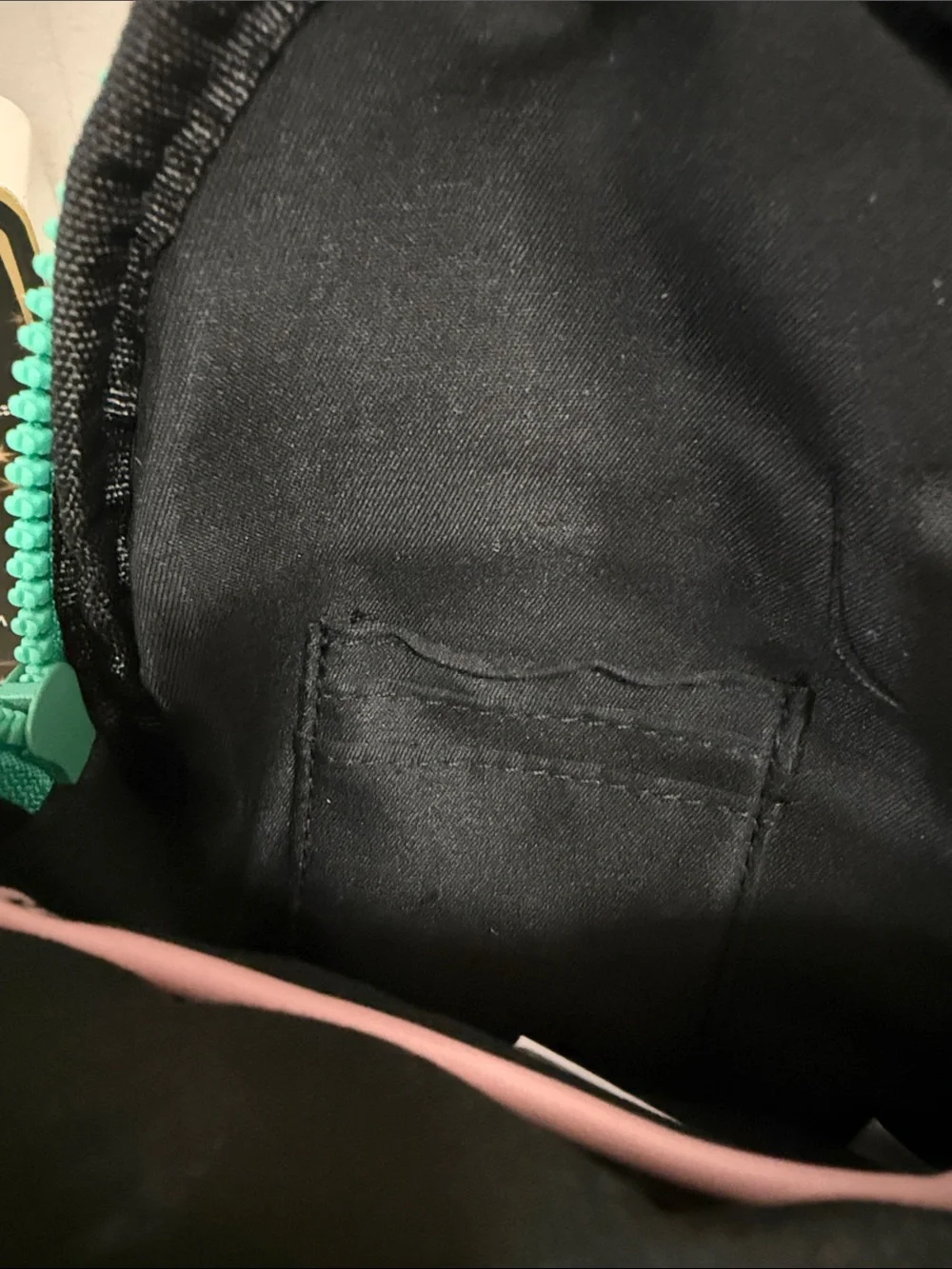 Wildfox Mint Green Crossbody Sling Bag
